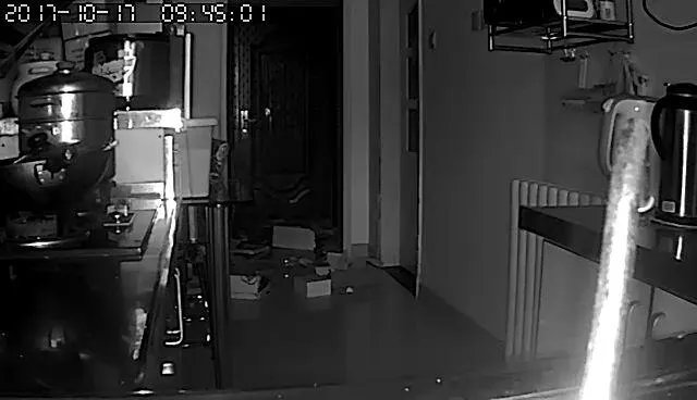 当你的猫或者狗狗去世之后，你还会再养吗？