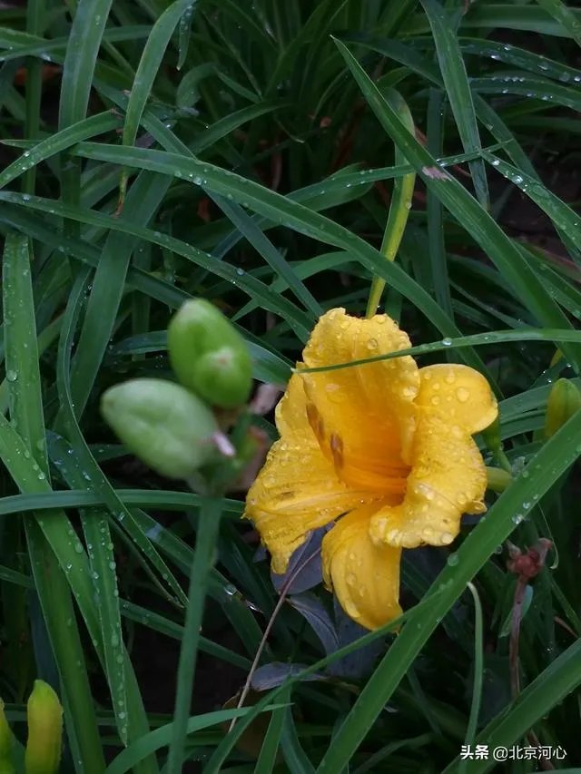 当渣女说我知道你心里一定特别恨我时，如何一句话怼回去？