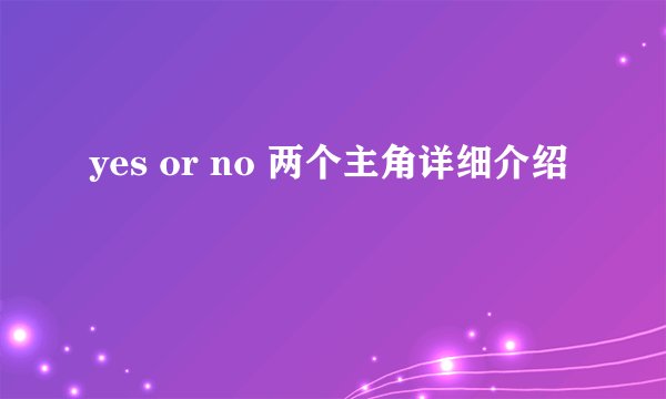 yes or no 两个主角详细介绍