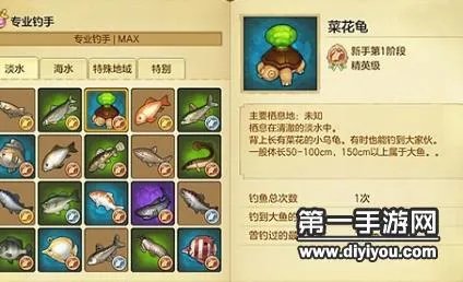 冒险岛2隐藏钓鱼地点有哪些 钓鱼地点汇总一览