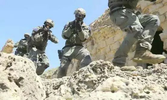 世界十大特种部队有哪些?