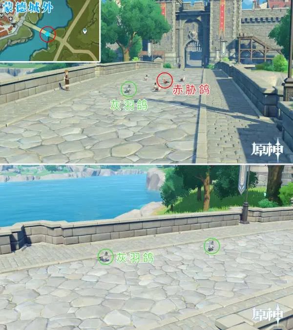 原神四方八方之网可捕捉动物在哪