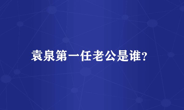 袁泉第一任老公是谁？