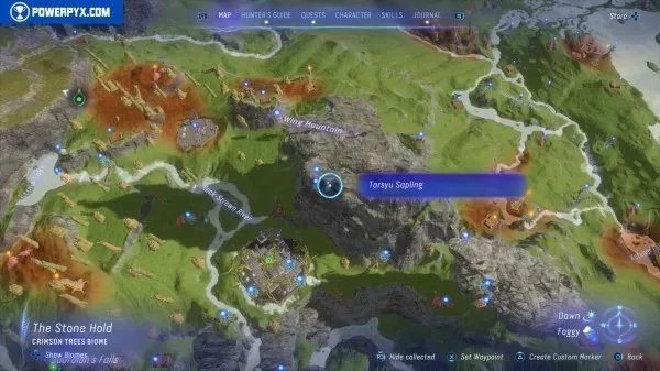 《阿凡达潘多拉边境》塔休幼苗位置汇总 塔休幼苗收集攻略