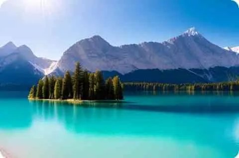 找小说 女主穿越到古代，发现自己身旁居然有八个或七个夫君，有