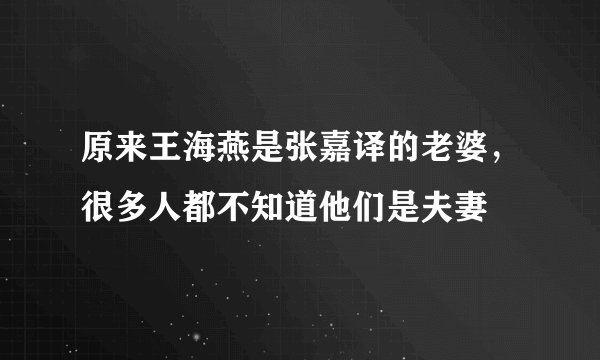 原来王海燕是张嘉译的老婆，很多人都不知道他们是夫妻