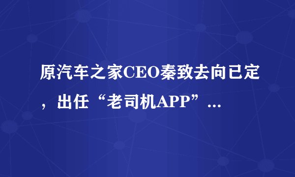 原汽车之家CEO秦致去向已定,出任“老司机APP”董事长 |