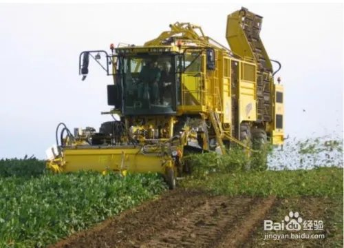 农机进口，德国旧甜菜收获机进口报关手续。