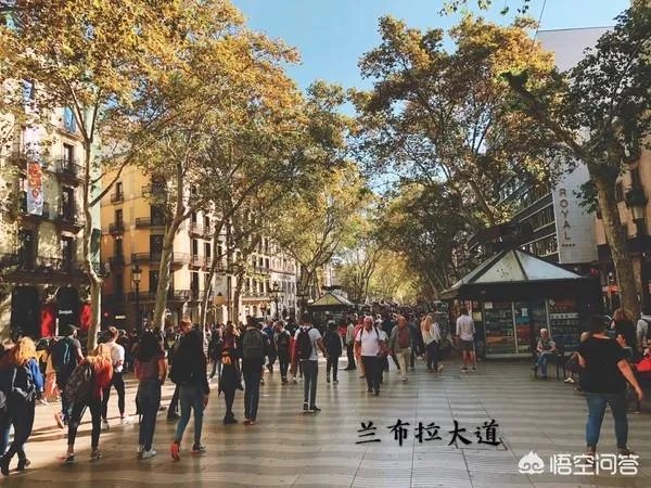 2年时间,在巴萨赢得了4座奖杯,巴尔韦德该被解雇吗?