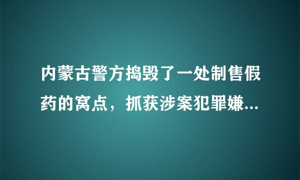 内蒙古警方捣毁了一处制售假药的窝点,抓获涉案犯罪嫌疑人两名,查获假药17万瓶, 你怎么看?