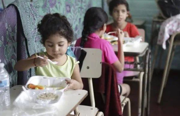 全球近6.9亿人处于饥饿状态，这是什么原因造成的？