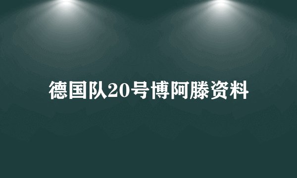 德国队20号博阿滕资料