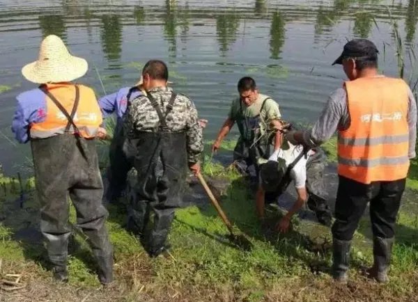 国家防总针对四川、重庆启动防汛四级应急响应,汛期各地该如何应对?