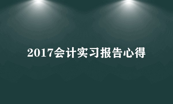 2017会计实习报告心得