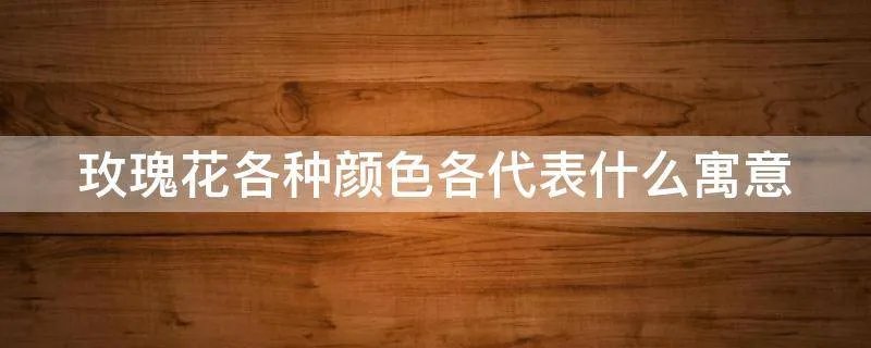 玫瑰花各种颜色各代表什么寓意