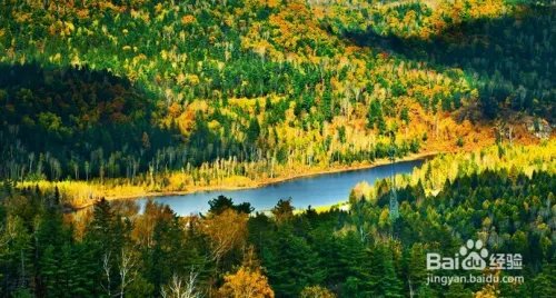 伊春旅游必去景点