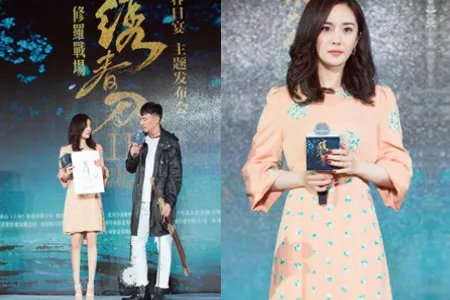 刘恺威宣布杨幂怀二胎双方工作忙不停没时间生二胎