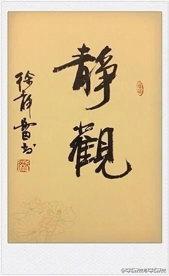 徐静蕾是不是风流才女？