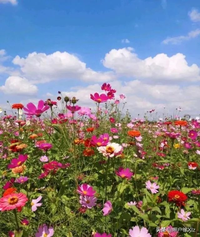 上海奉贤区东端这个镇