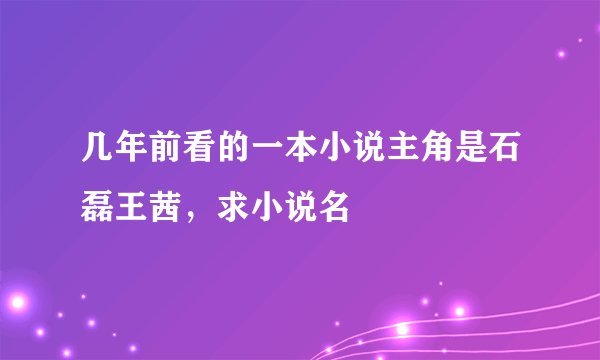 几年前看的一本小说主角是石磊王茜，求小说名