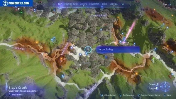 《阿凡达潘多拉边境》塔休幼苗位置汇总 塔休幼苗收集攻略