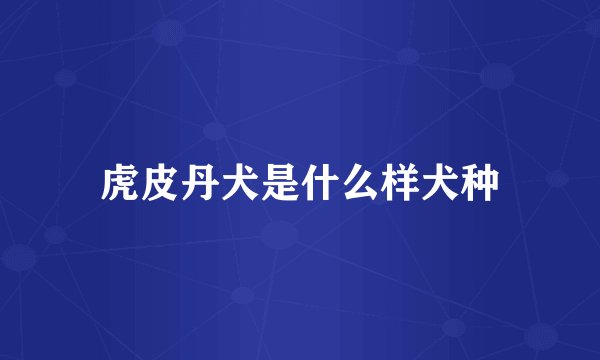 虎皮丹犬是什么样犬种