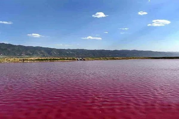 印度5万年前的陨石坑湖，一夜之间突然变红，是什么原因？