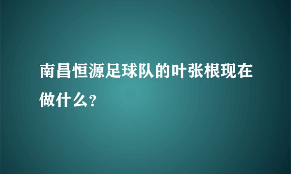 南昌恒源足球队的叶张根现在做什么？