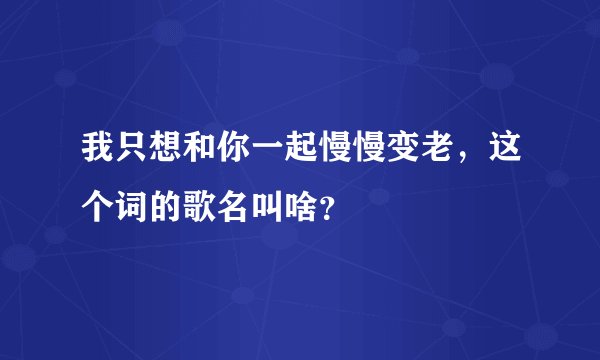 我只想和你一起慢慢变老，这个词的歌名叫啥？