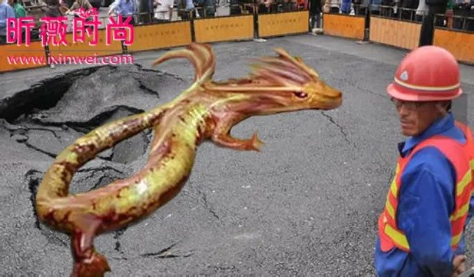 村民修路竟然意外挖出千年真龙（组图）