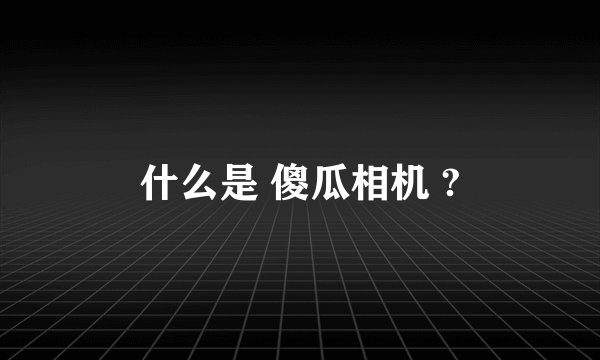 什么是 傻瓜相机 ?