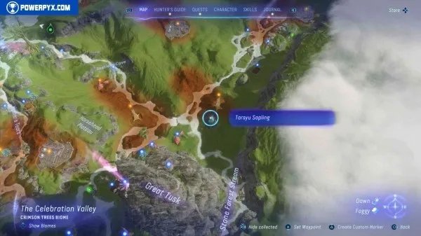 《阿凡达潘多拉边境》塔休幼苗位置汇总 塔休幼苗收集攻略