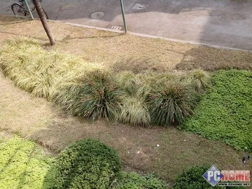 跑分测试和拍照样张