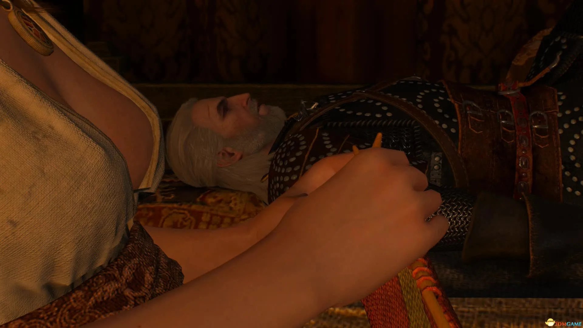 巫师3狂猎 诺维格瑞白日梦任务详细图文攻略