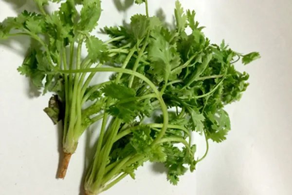 春天吃什么好 吃这些对身体好