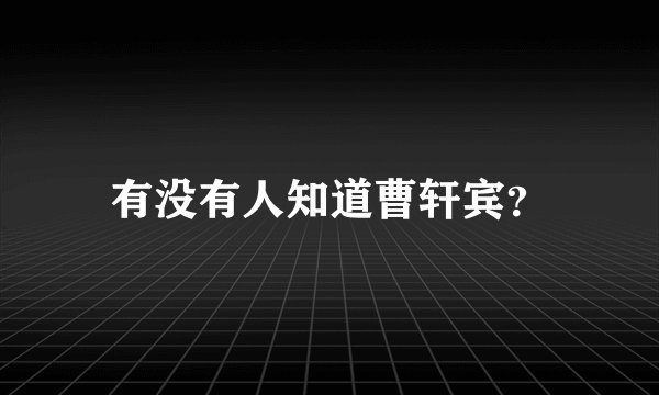 有没有人知道曹轩宾？