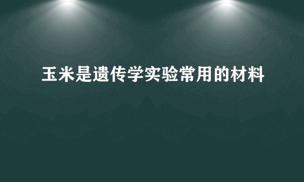 玉米是遗传学实验常用的材料