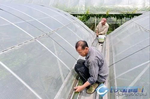 强台风“立奇马”要来了,温室大棚该提前做哪些防御措施,准备什么?