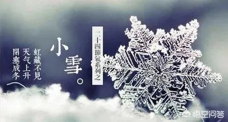 小雪节气适合吃什么？