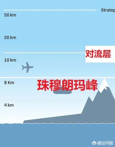 世界上飞的最高、飞的最远或飞的最快的鸟有哪些？