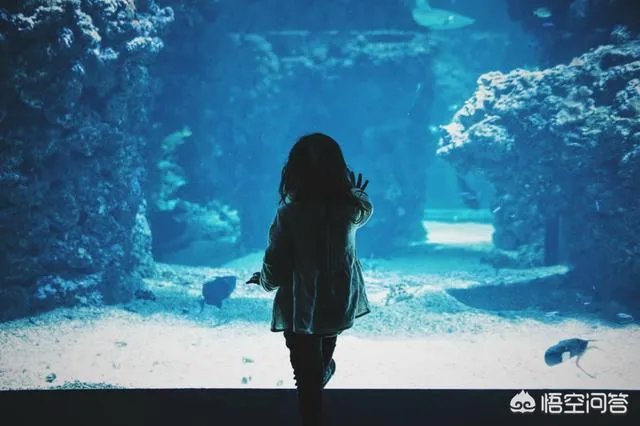 说话总卡壳该怎么办?