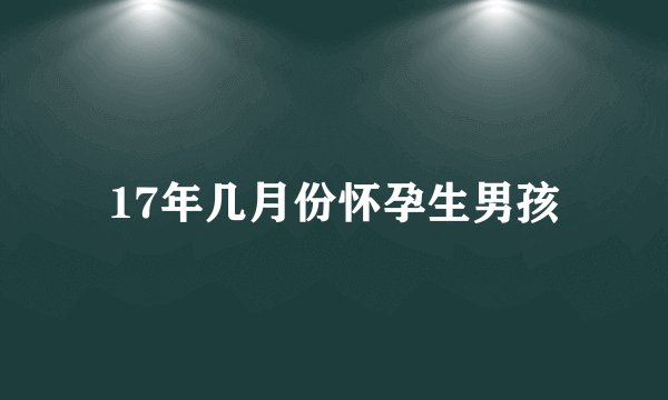 17年几月份怀孕生男孩