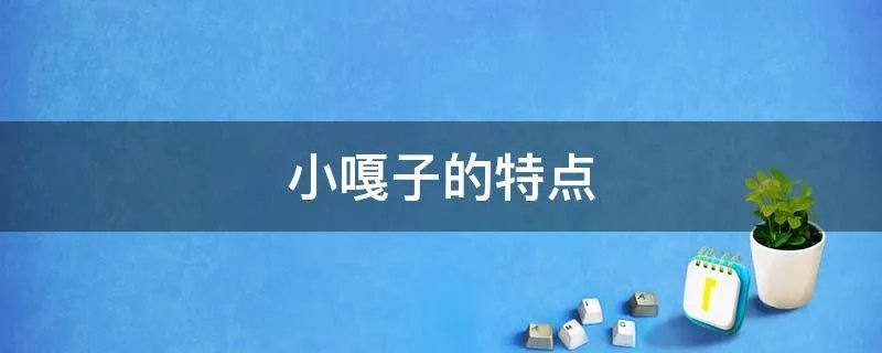 小嘎子的特点