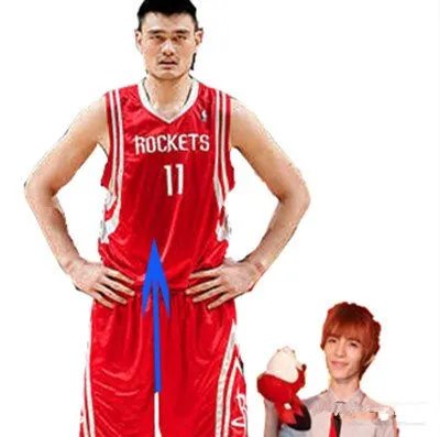 姚明和郭敬明平均身高多少 高个子姚明与郭敬明合影