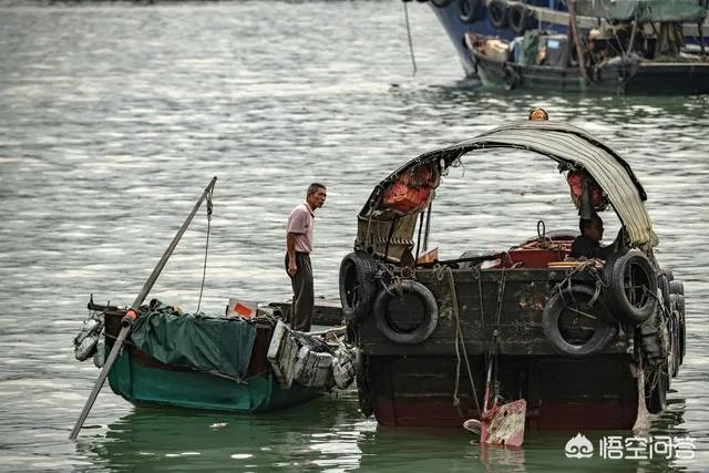 尼康70-200与80-400哪款更实用？为什么？