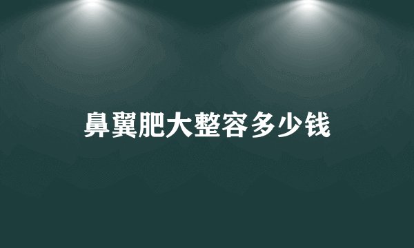 鼻翼肥大整容多少钱