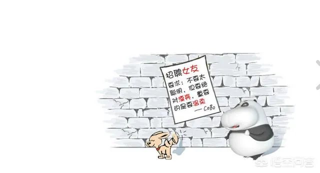 有哪些搞笑的手机壁纸？