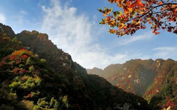 西安市人口2021总人数是多少?