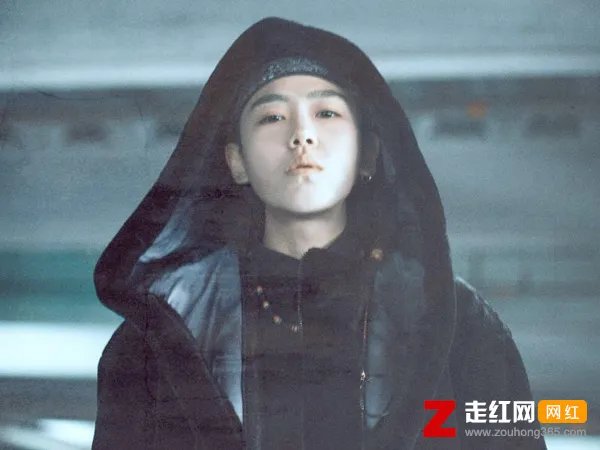 我愿意与你一起经历回忆往后的四季是什么歌，愿意歌曲介绍