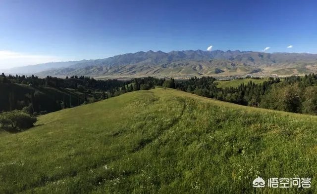 端午节想去草原旅游,这个时节草原好玩儿吗?